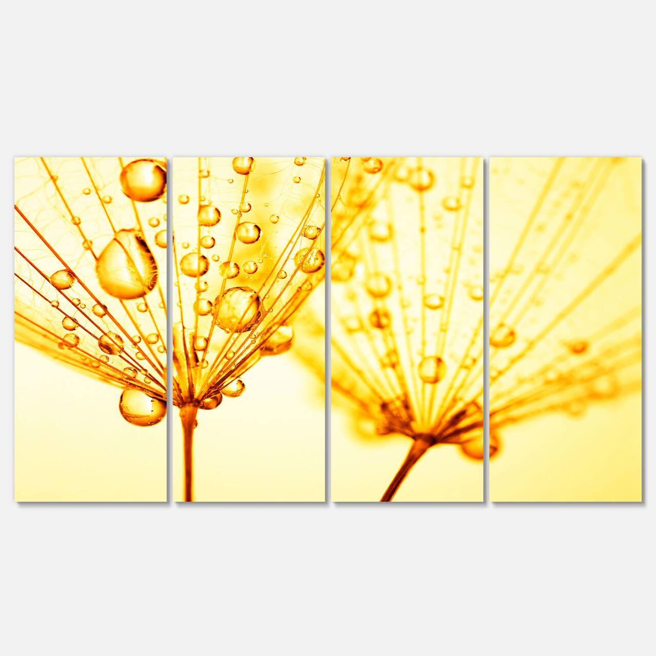 Designart - Dandelion Seeds with Water Drops - Floral Canvas Art Print